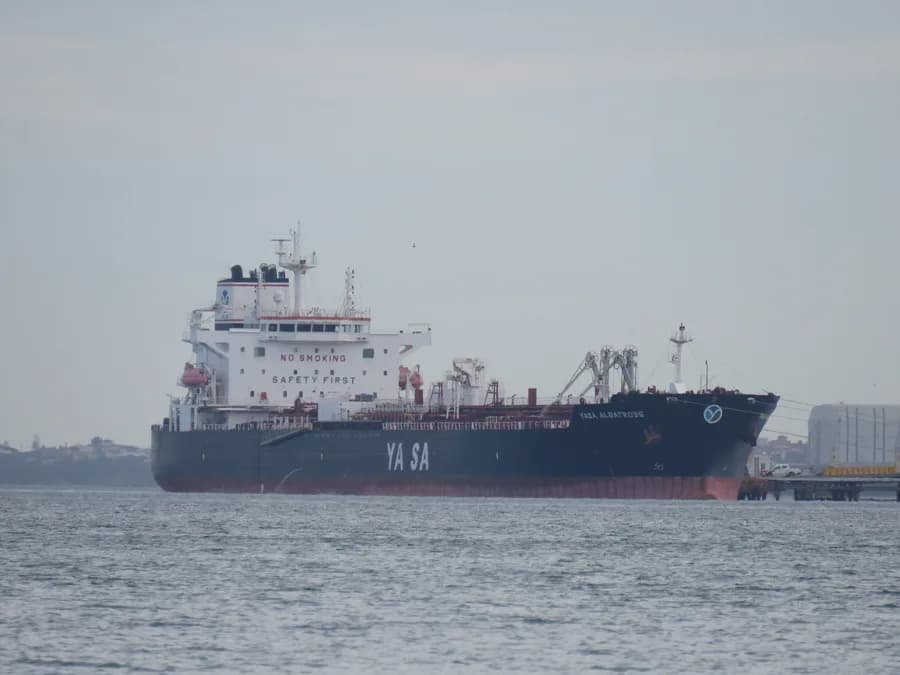 Yasa Albatross