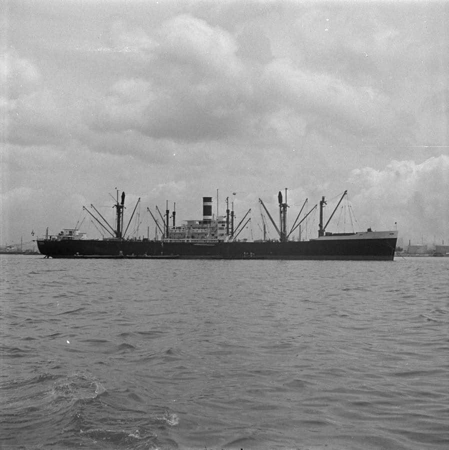 IMO 5050971