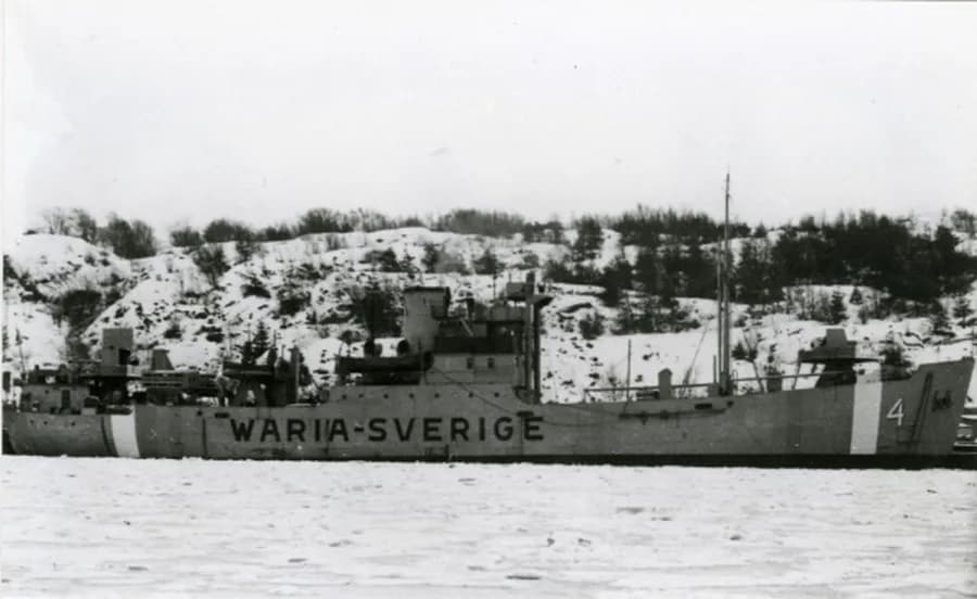 Plavnik