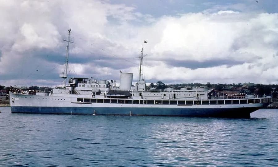 Argonaut