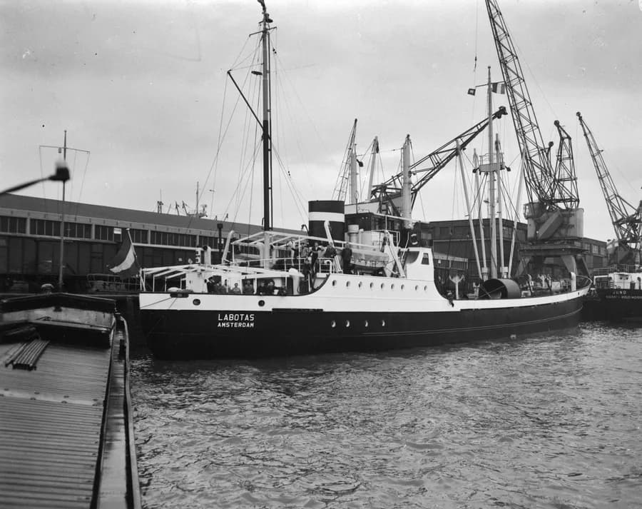 Labotas