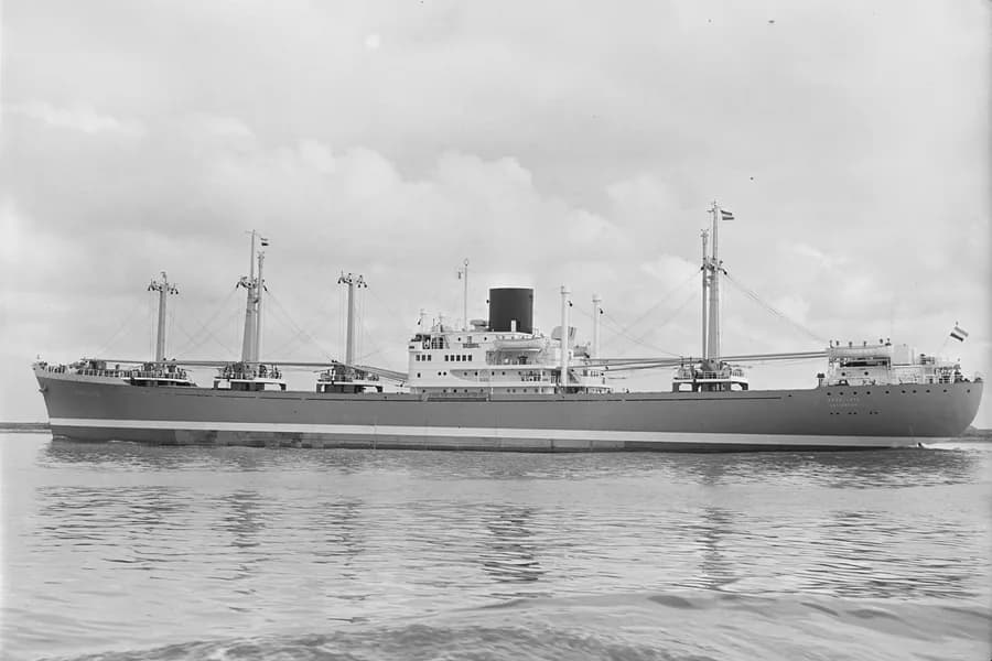 Maas Lloyd