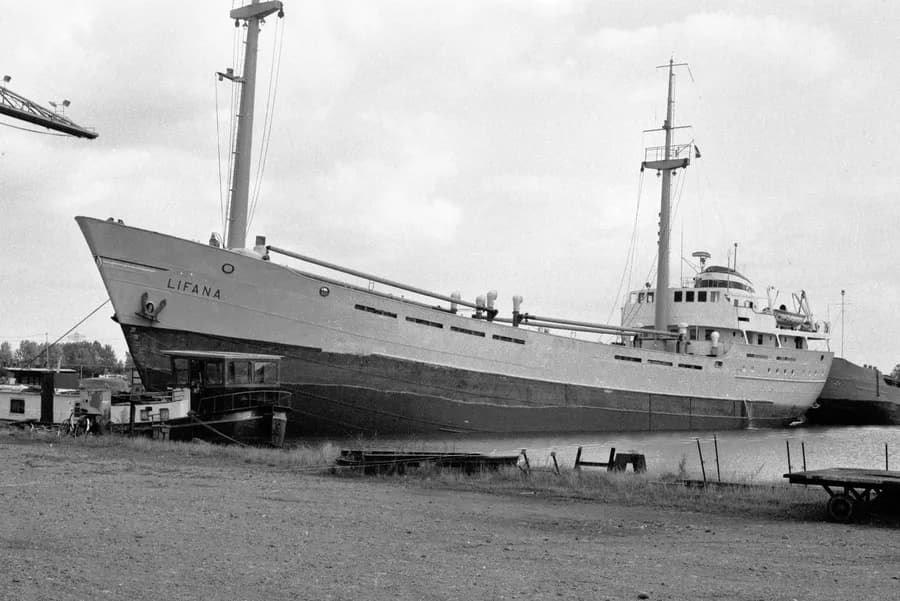 Lifana