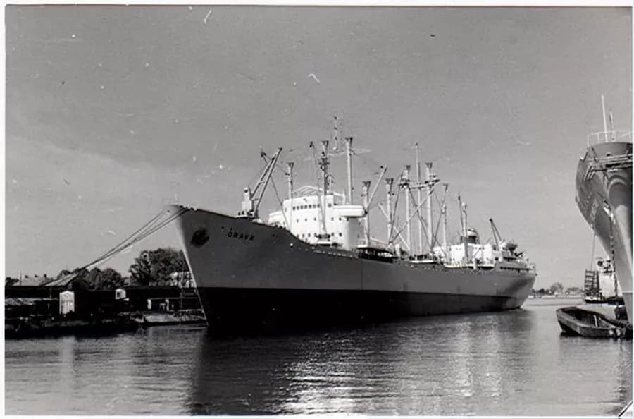 IMO 5264223