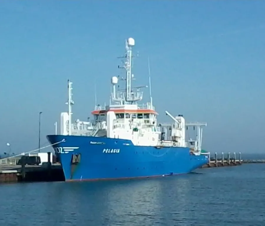 Pelagia