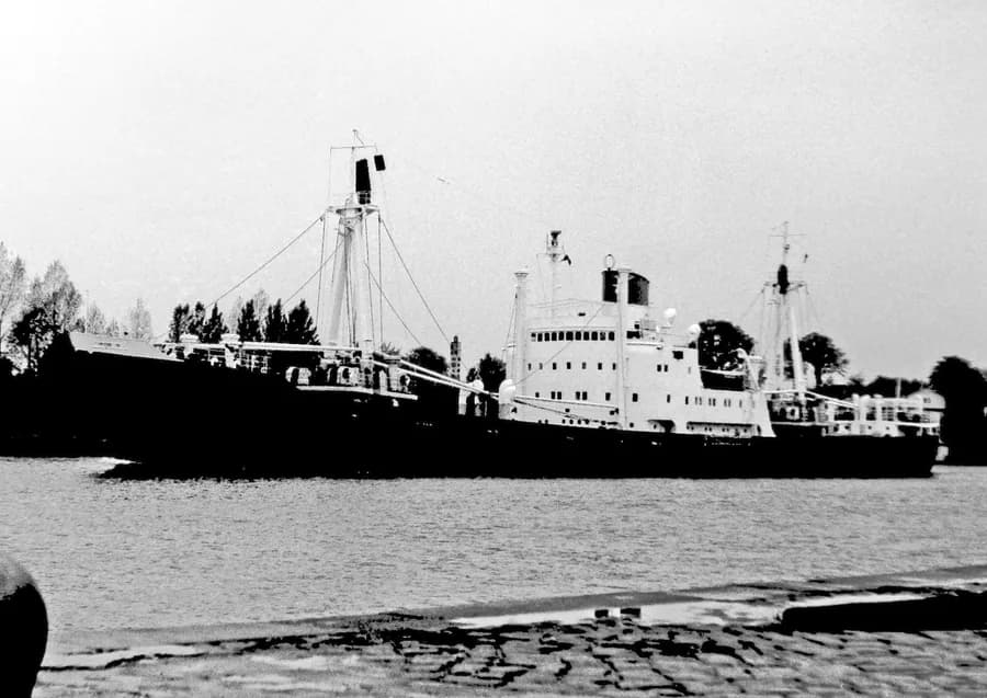 IMO 5085811