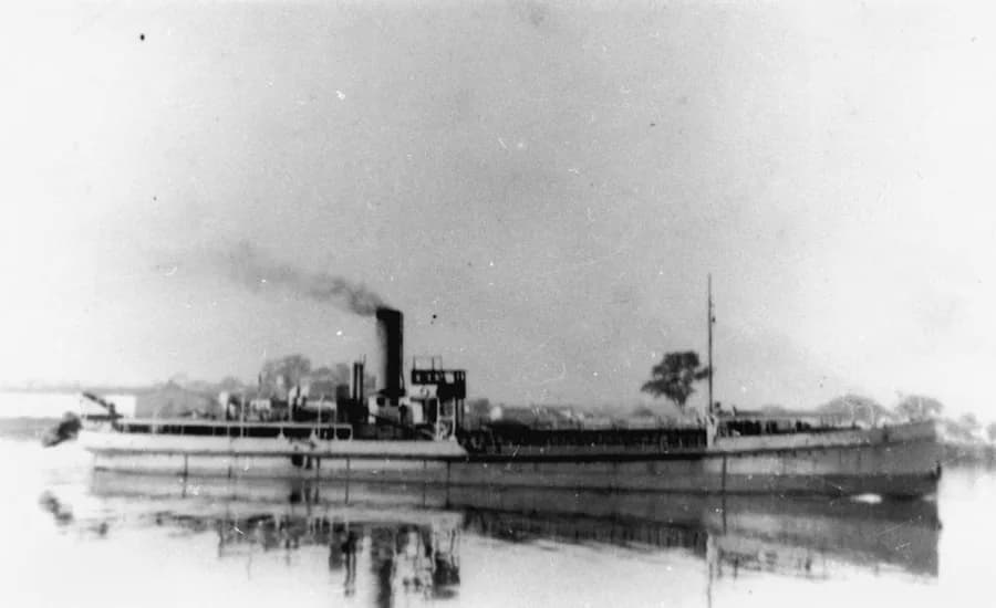 Remora
