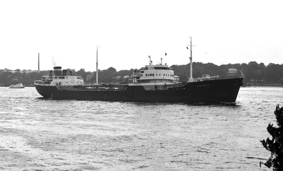 Stavros E.