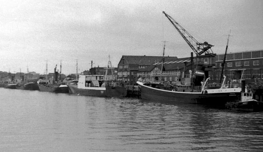 NC 436 Frisia