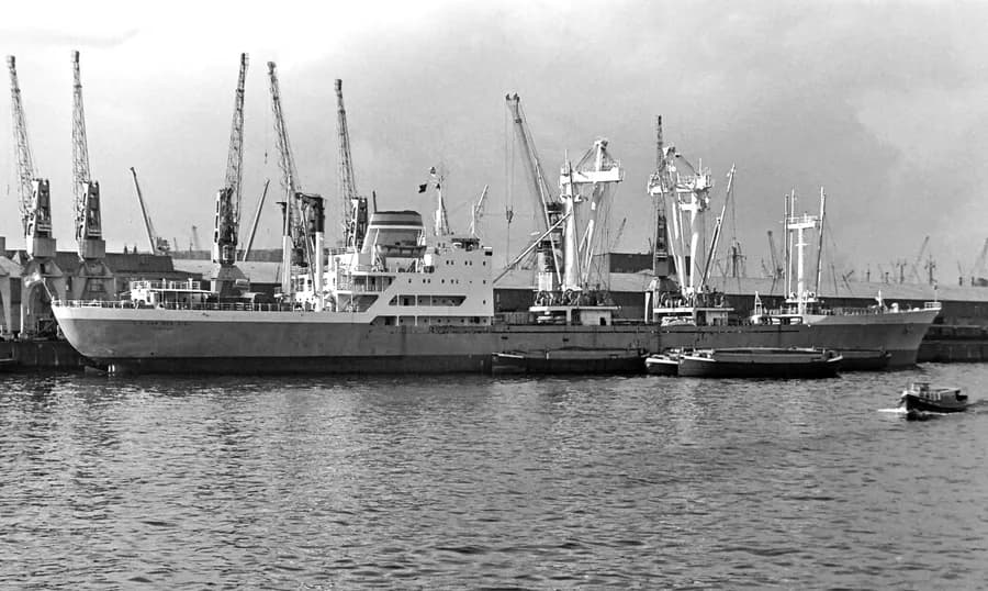 S.A. van der Stel