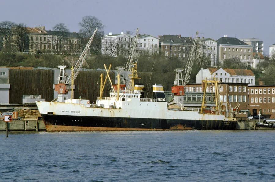 HH 350 Scombrus