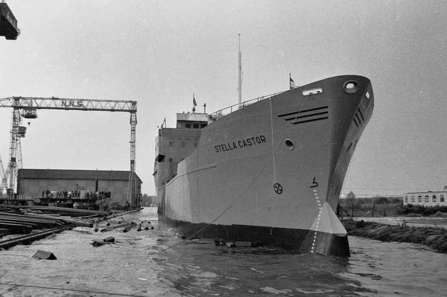 Stella Castor