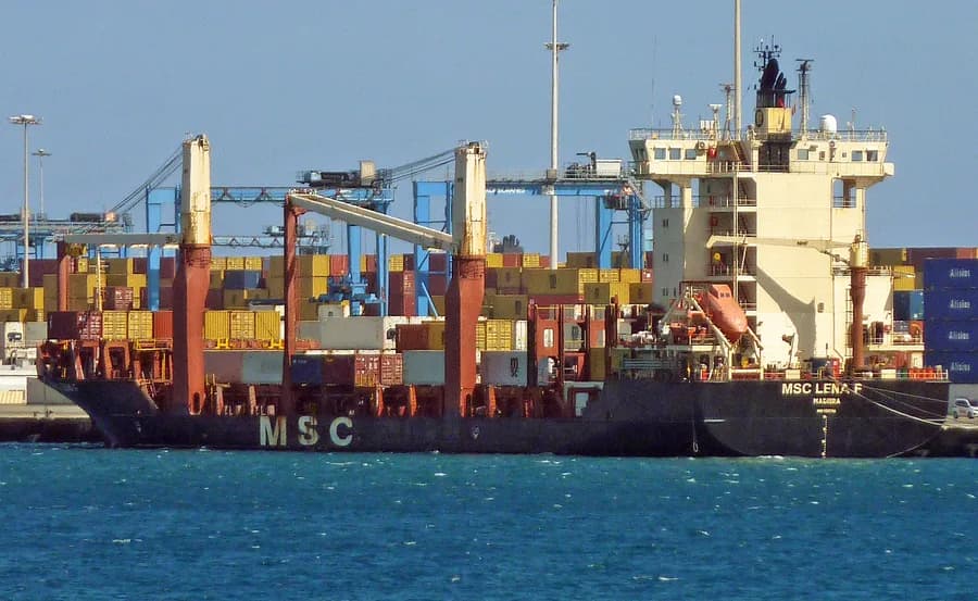 Msc Lena F