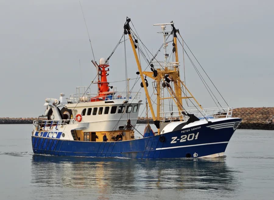 IMO 9056193