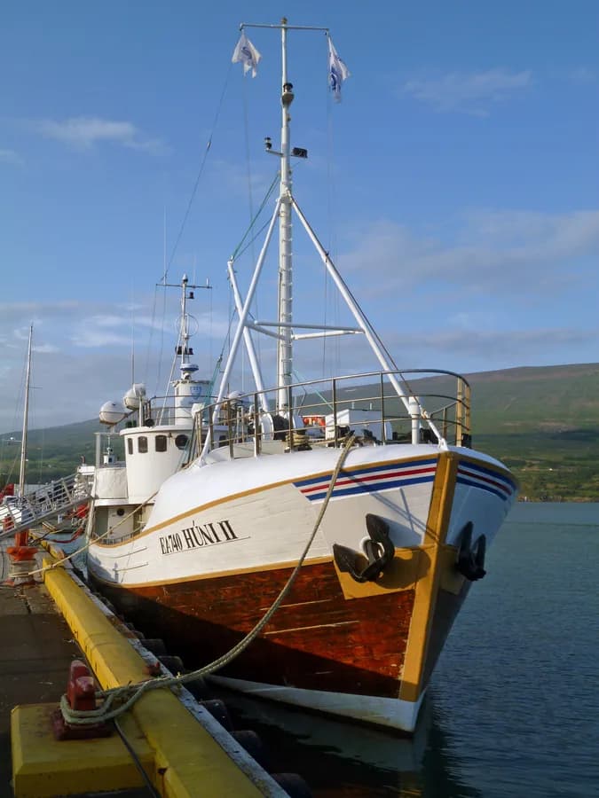 Húni II