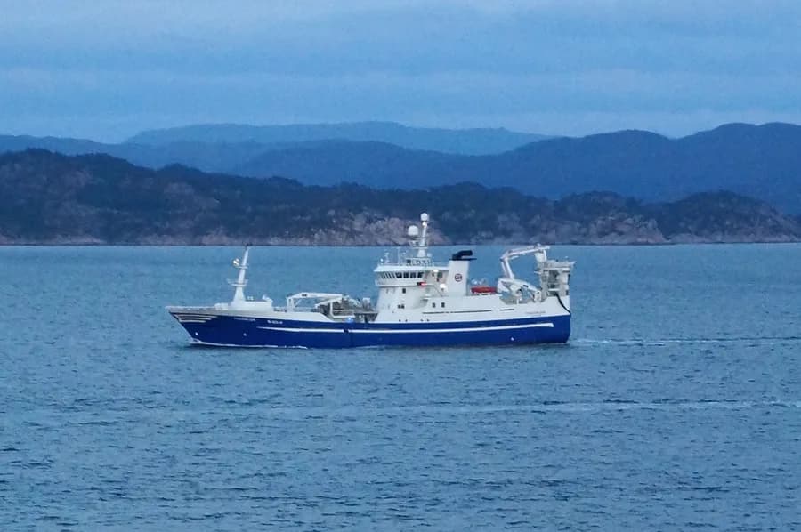 Fiskeskjer