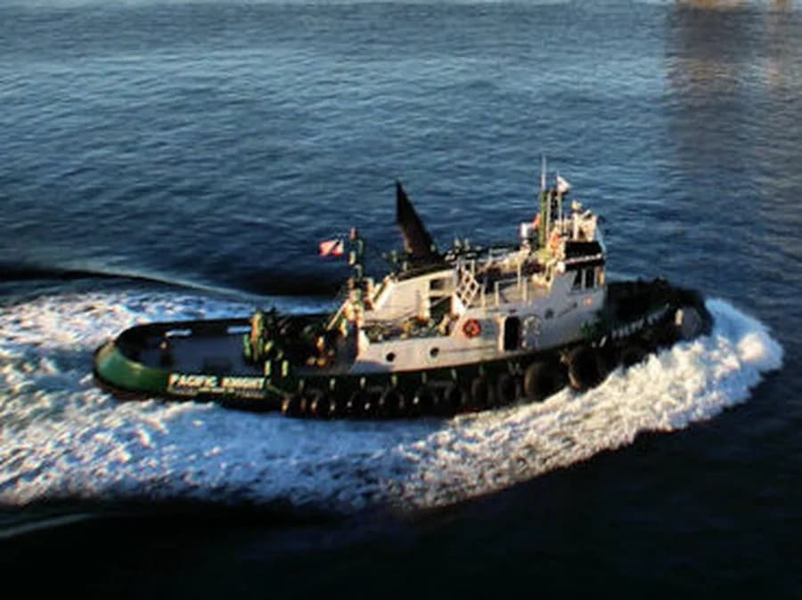 Pacific Knight