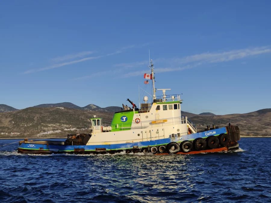 IMO 8428674