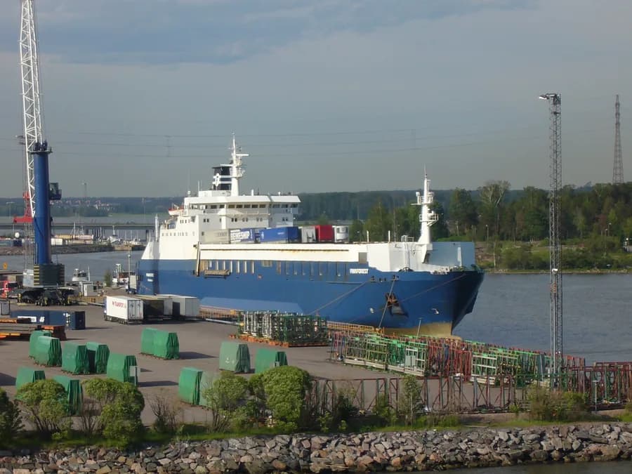 Finnbirch
