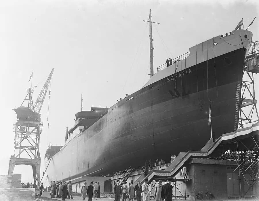 Koratia