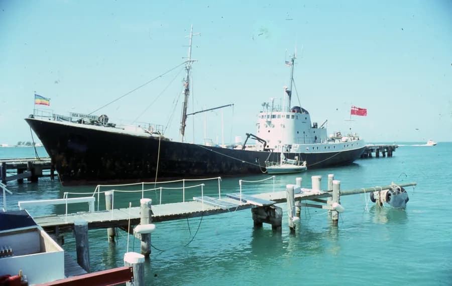 Sea Shepherd II