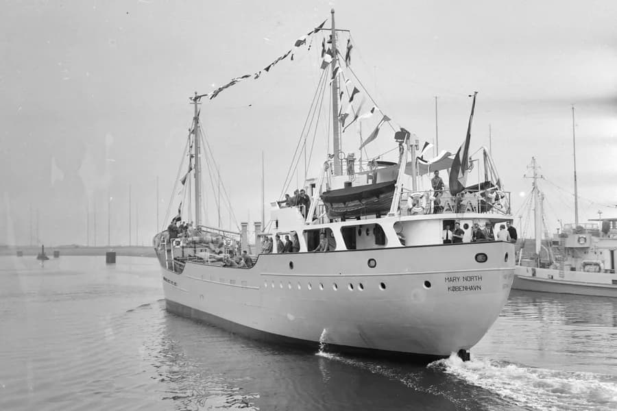 IMO 5036353