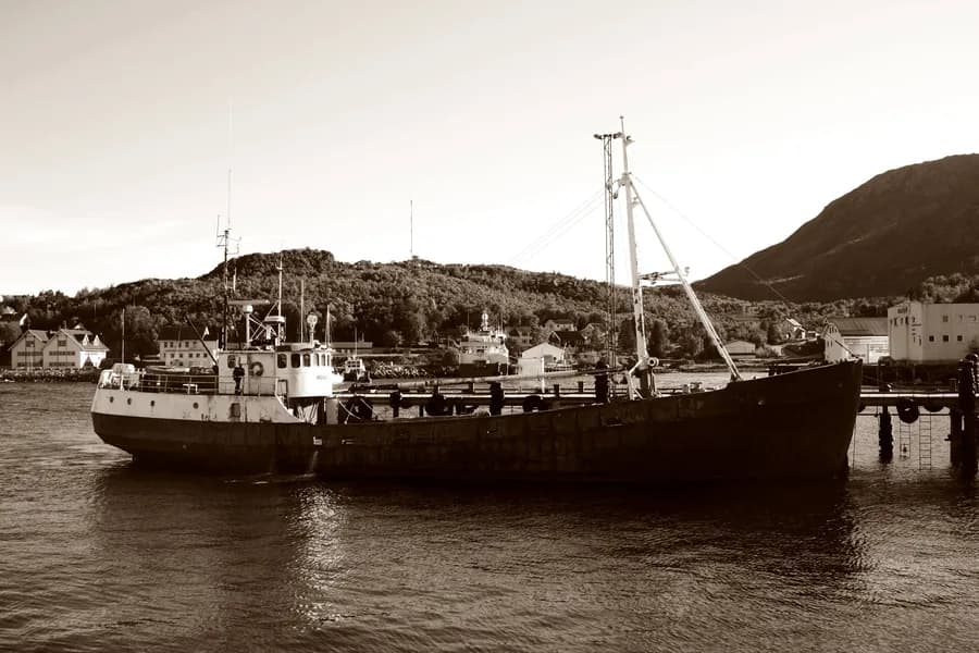 MS Veslegut