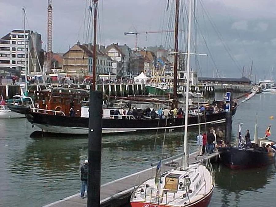 Albatros