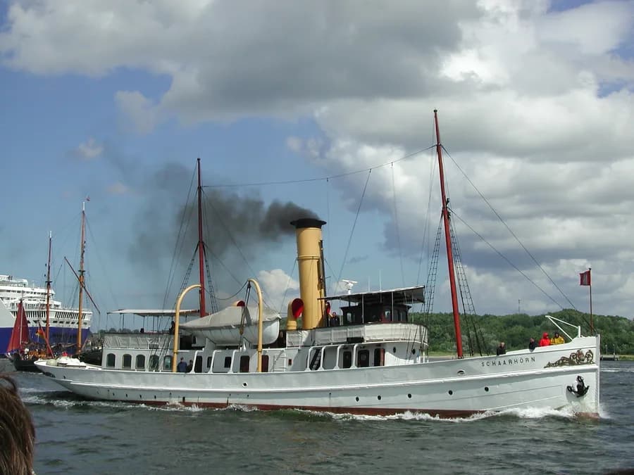 Schaarhörn