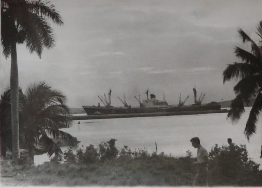 SS Metallurg Anosov