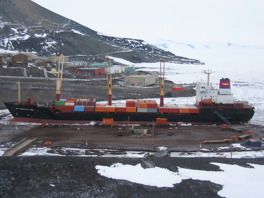 MV American Tern