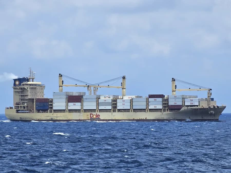 IMO 9877729