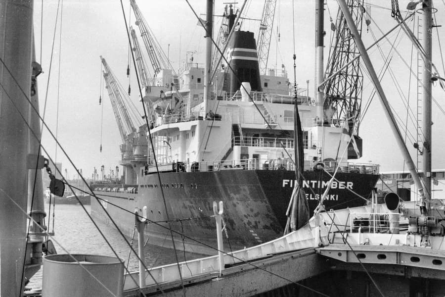 IMO 7348281