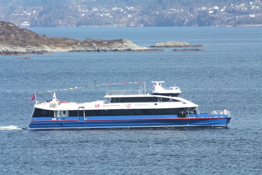 Rygerelektra