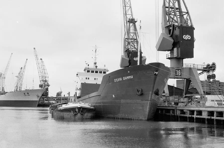 IMO 7703003