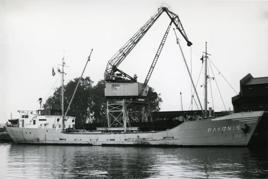 IMO 5272359