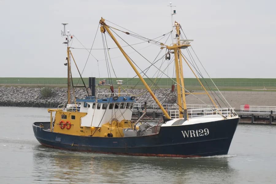 IMO 8432065