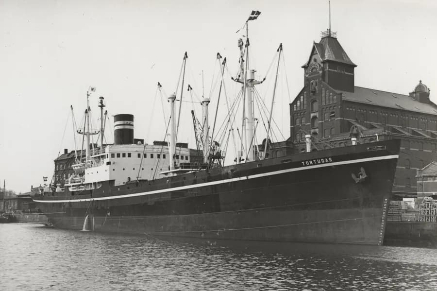 IMO 5365479