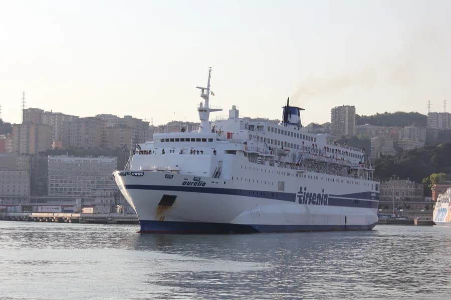Aurelia