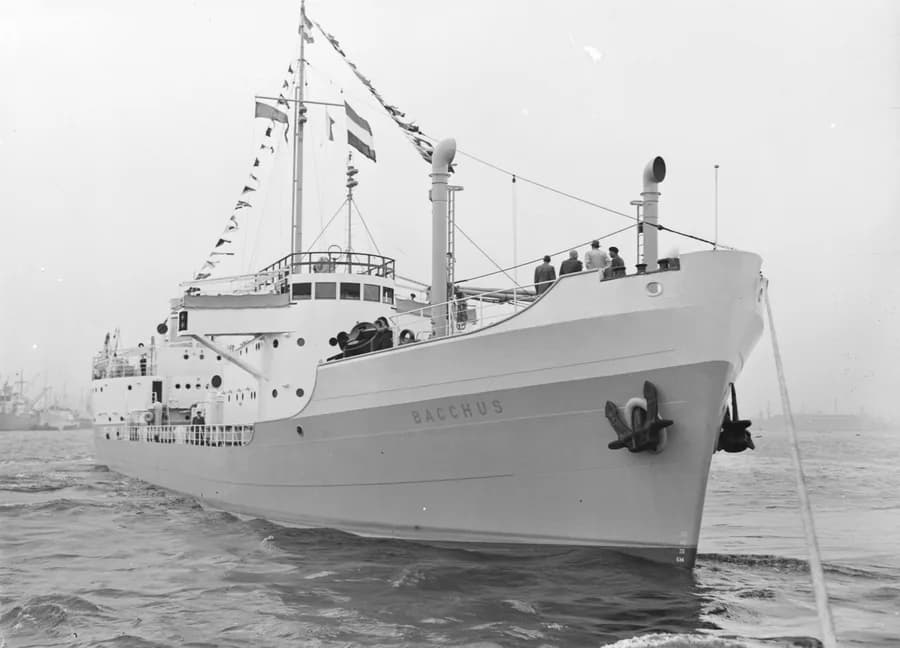 IMO 5033466