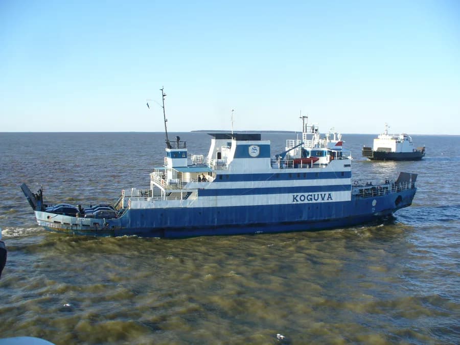Koguva