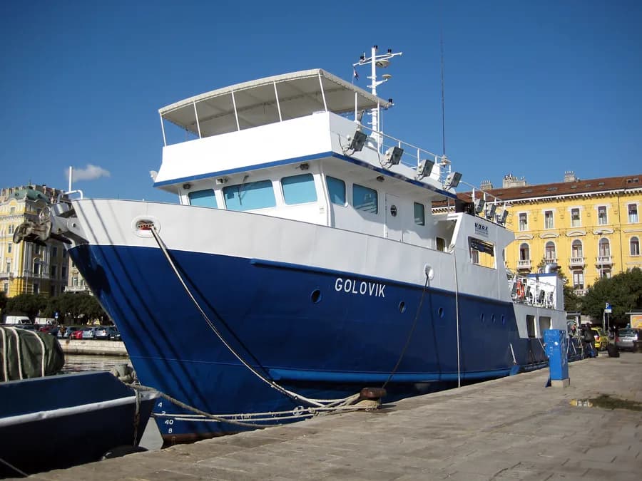 Golovik