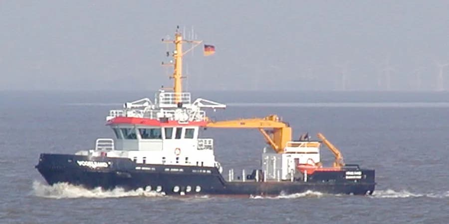 Vogelsand