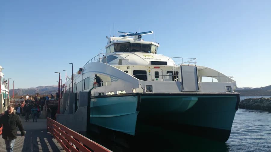 Terningen
