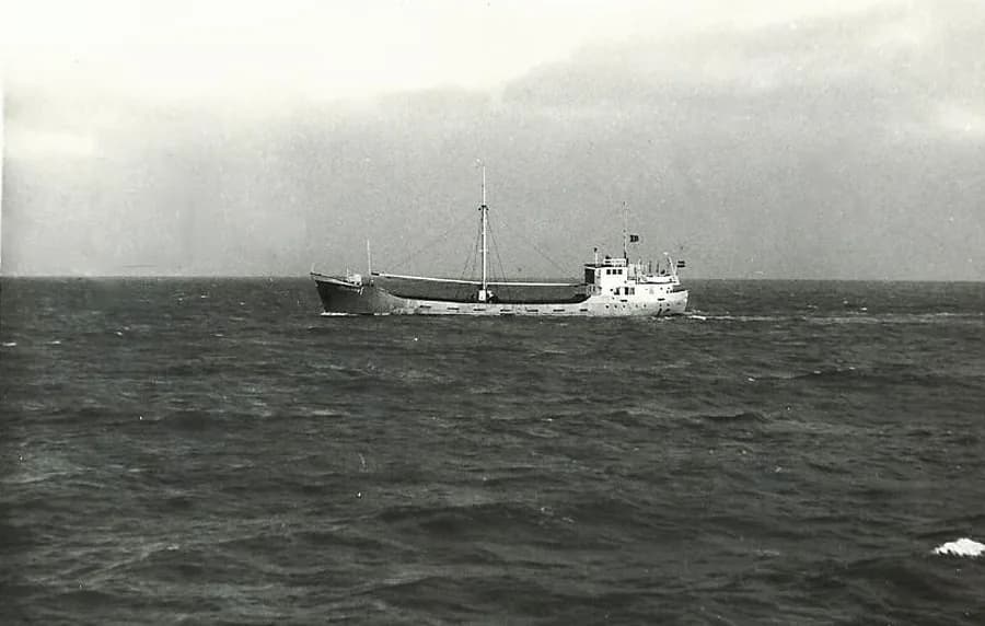 Sea-Wyf