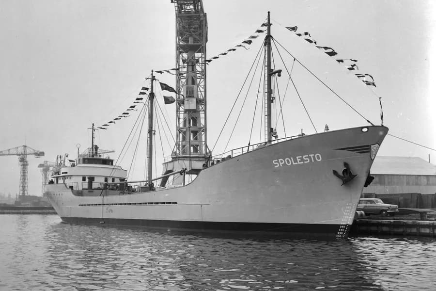 IMO 5336947