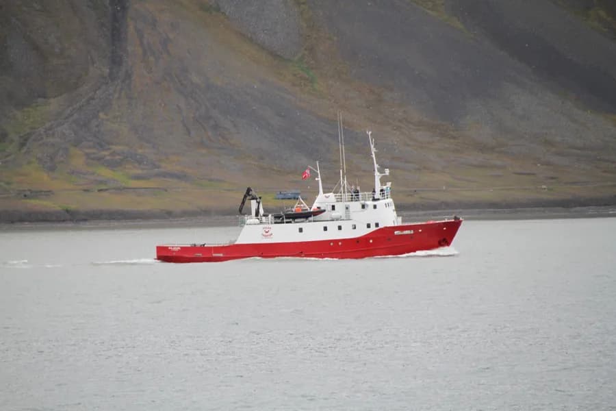 Polargirl