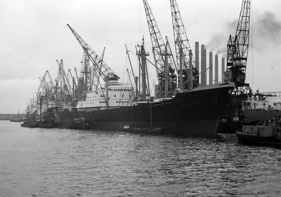IMO 5093789