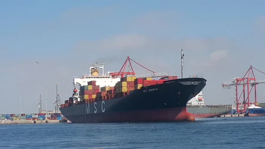 MSC Manya