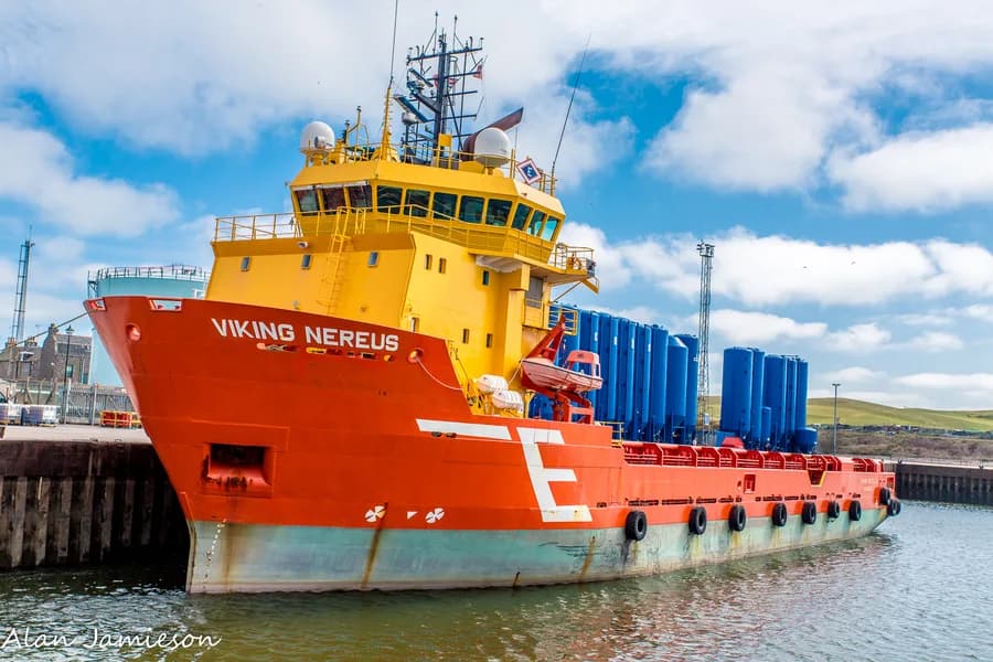 Viking Nereus